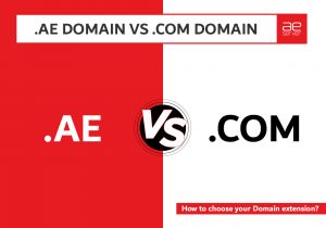 Read more about the article .AE Domain VS .COM Domain | How to choose your Domain extension?