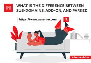 Read more about the article What is the Difference Between Sub-Domains, Add-on, And Parked