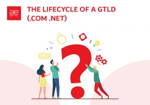 Read more about the article The Lifecycle of a Gtld (.Com .Net)