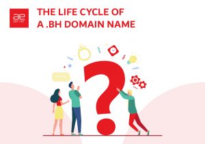 Read more about the article The Life Cycle of a .BH Domain Name