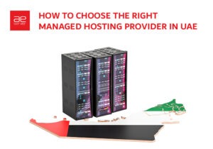 Read more about the article How to Choose the Right Managed Hosting Provider in UAE