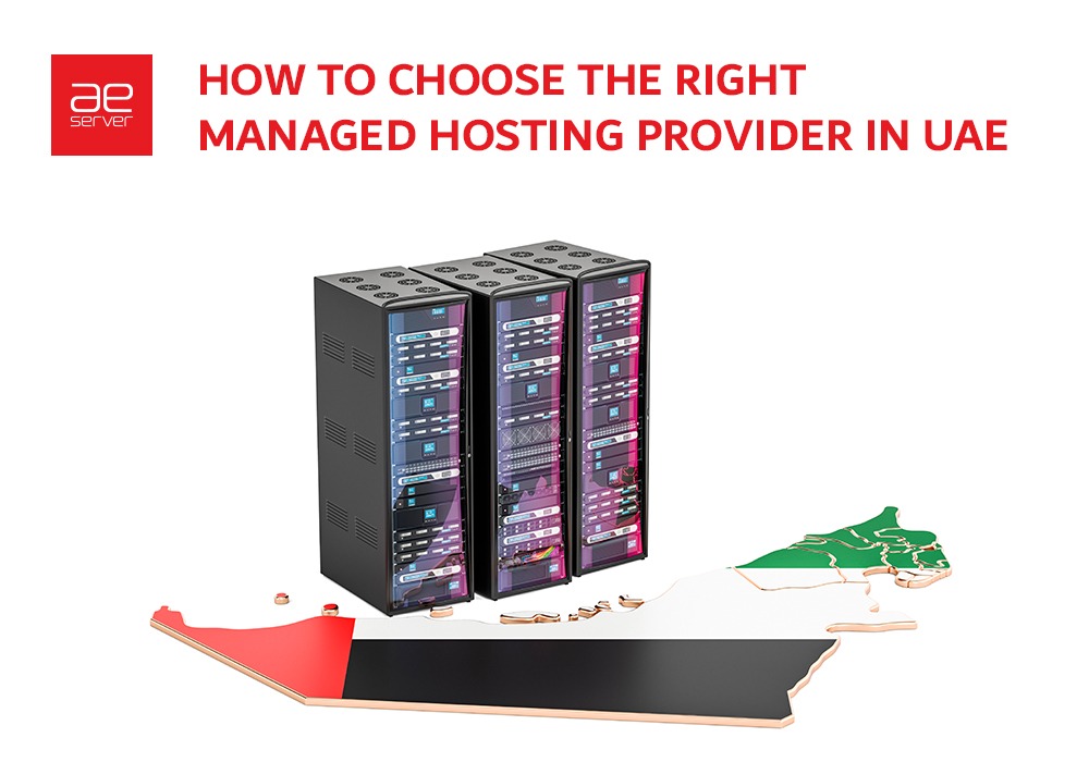 Read more about the article How to Choose the Right Managed Hosting Provider in UAE