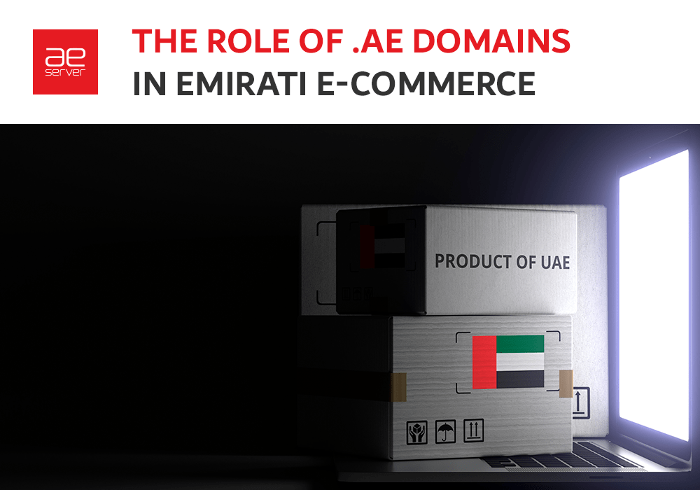 Read more about the article The Role of .AE Domains in Emirati E-commerce