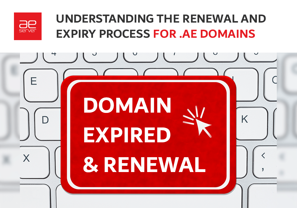 Read more about the article Understanding the Renewal and Expiry Process for .AE Domains