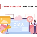 CMS in Web Design: Types and Examples